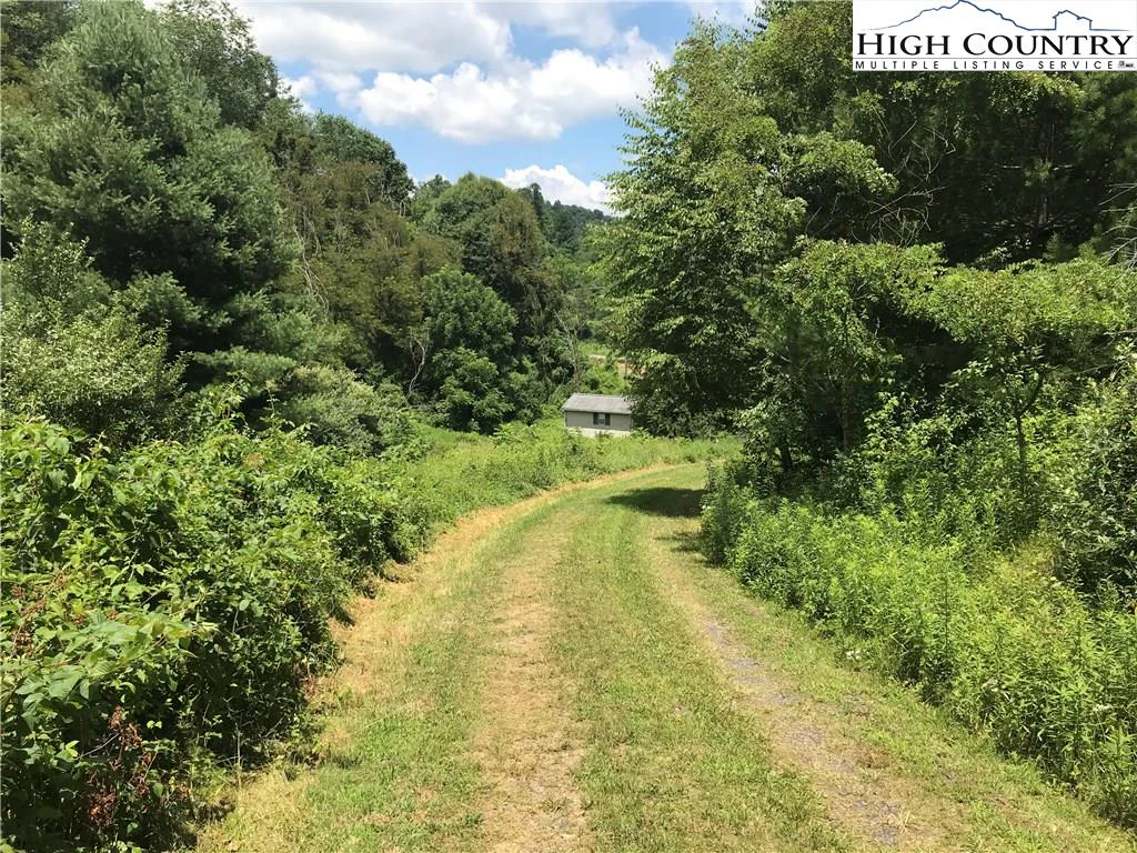 Image number 4 for the current listing