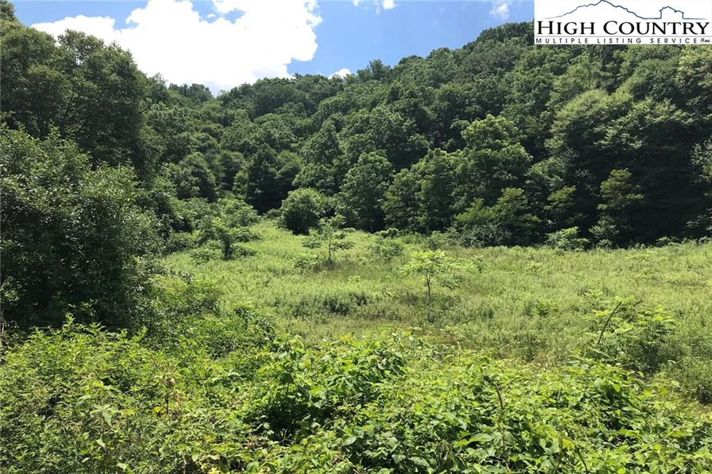 Image number 3 for the current listing