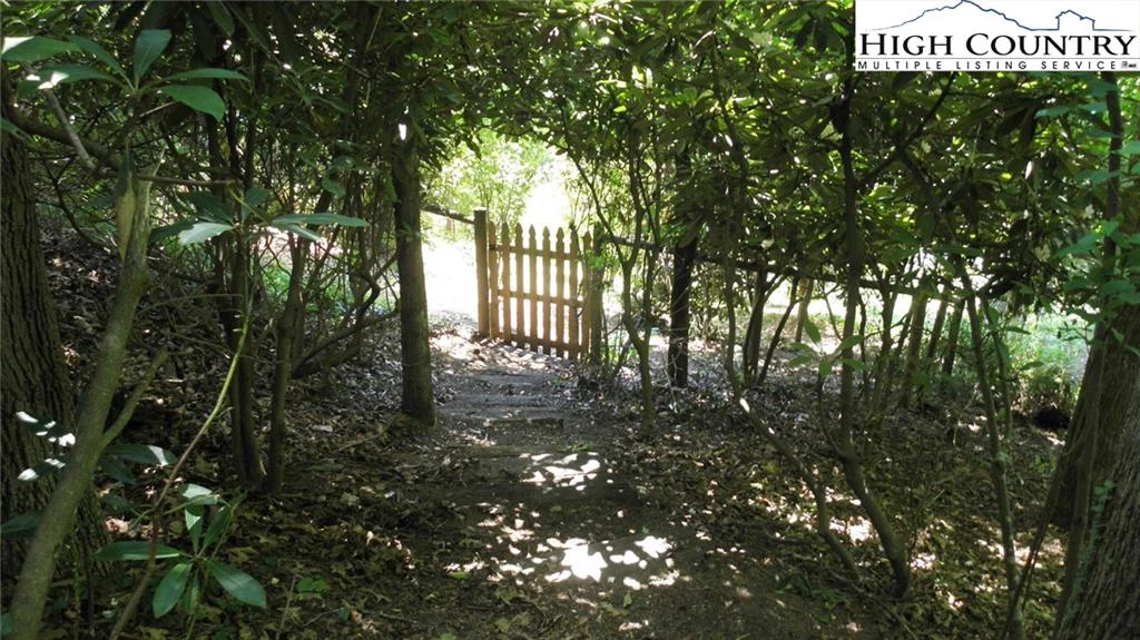 Image number 13 for the current listing