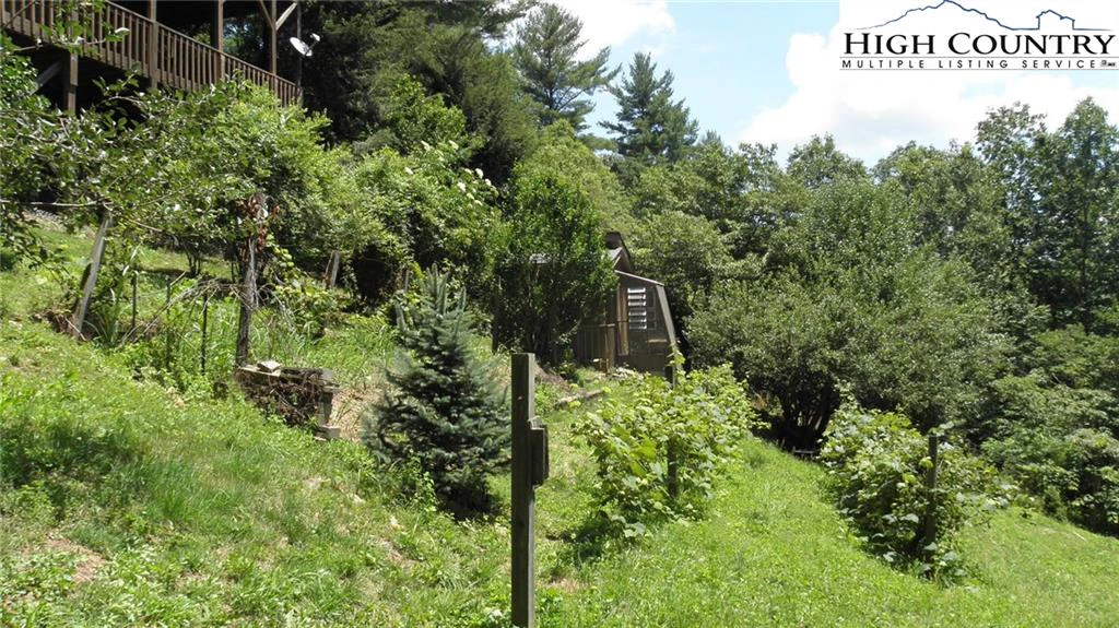 Image number 14 for the current listing