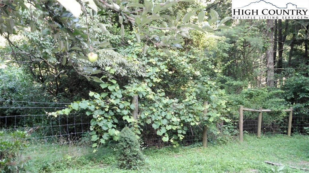 Image number 17 for the current listing