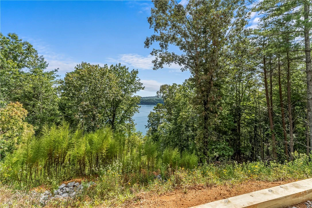 Image number 18 for the current listing