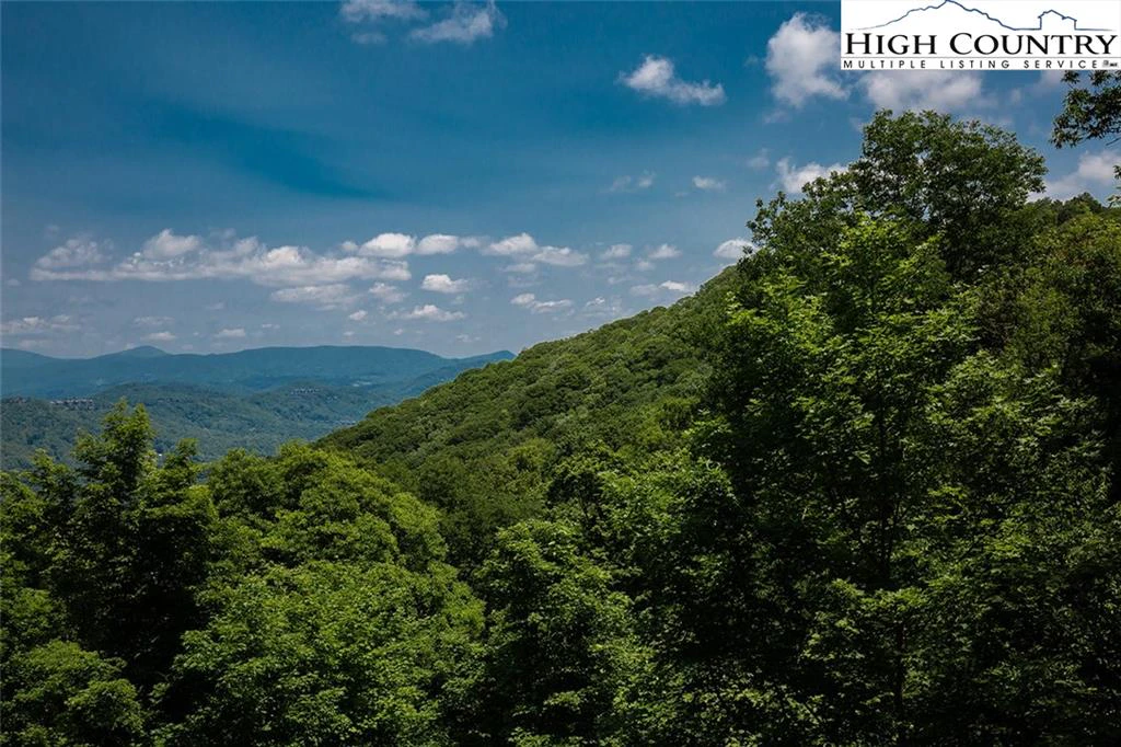 Image number 14 for the current listing