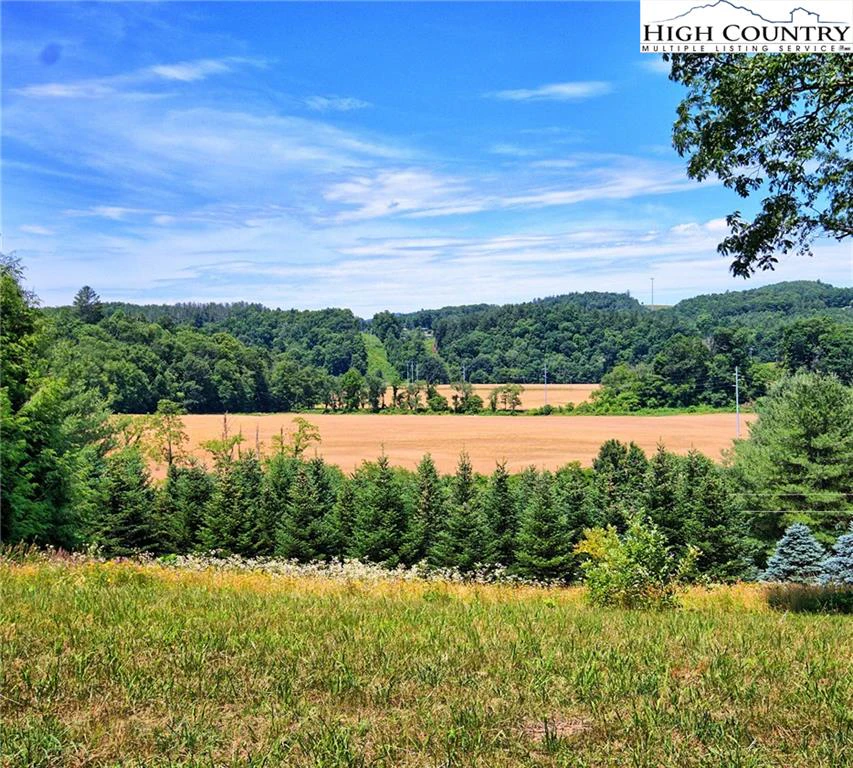 Image number 6 for the current listing
