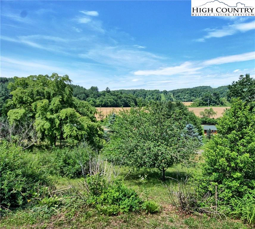 Image number 5 for the current listing