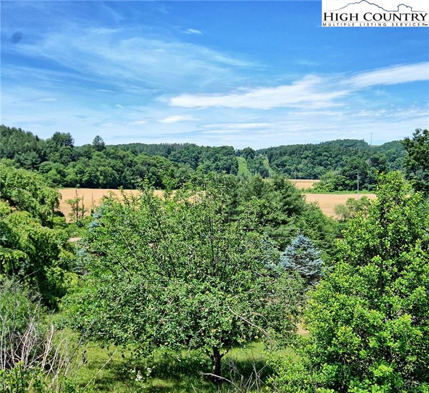 Image number 4 for the current listing