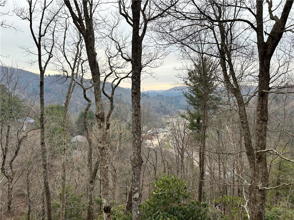 Image number 3 for the current listing