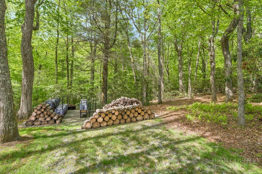 Image number 9 for the current listing