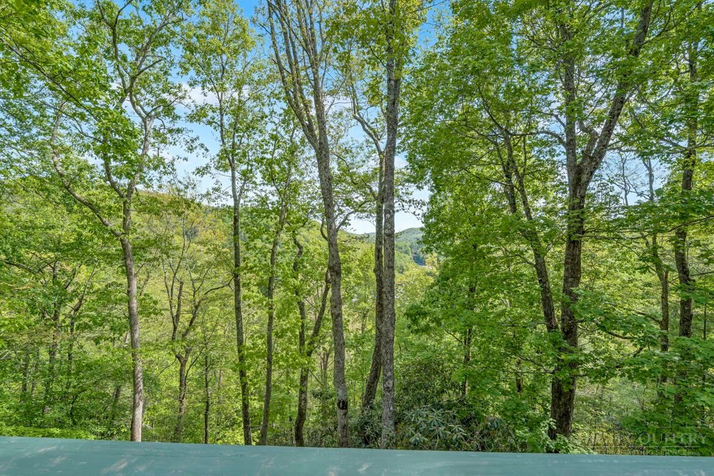 Image number 6 for the current listing