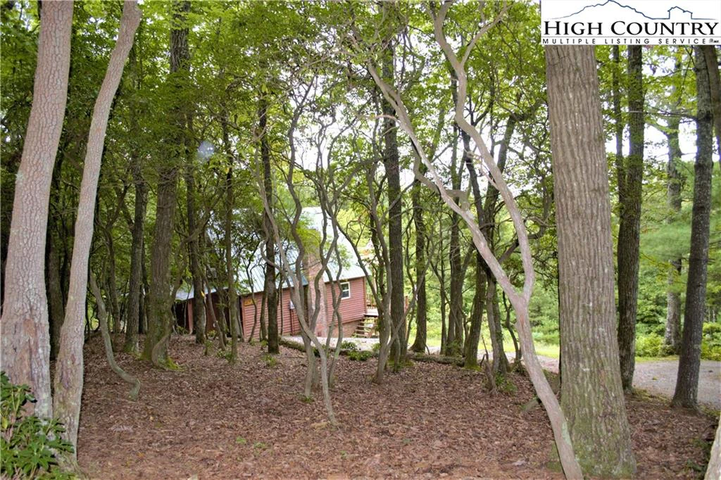 Image number 1 for the current listing