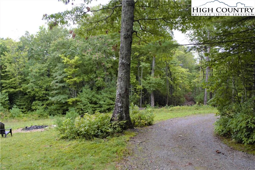 Image number 4 for the current listing