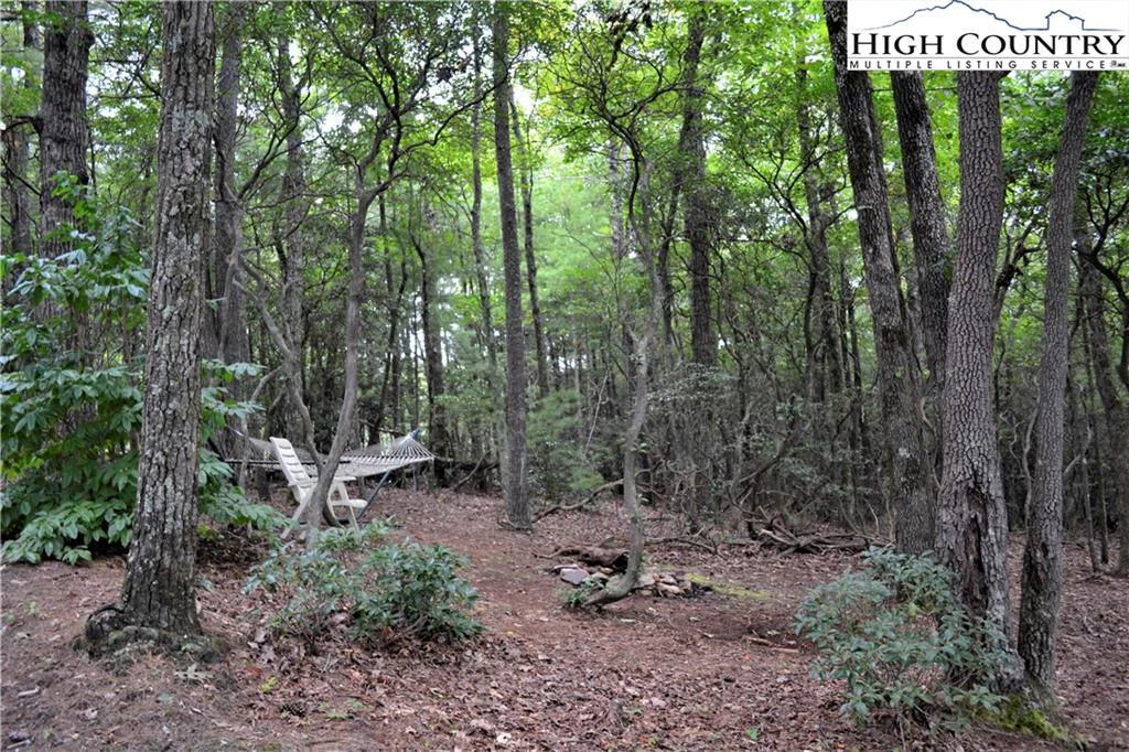 Image number 3 for the current listing