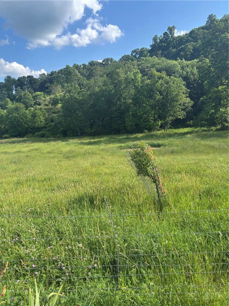 Image number 19 for the current listing