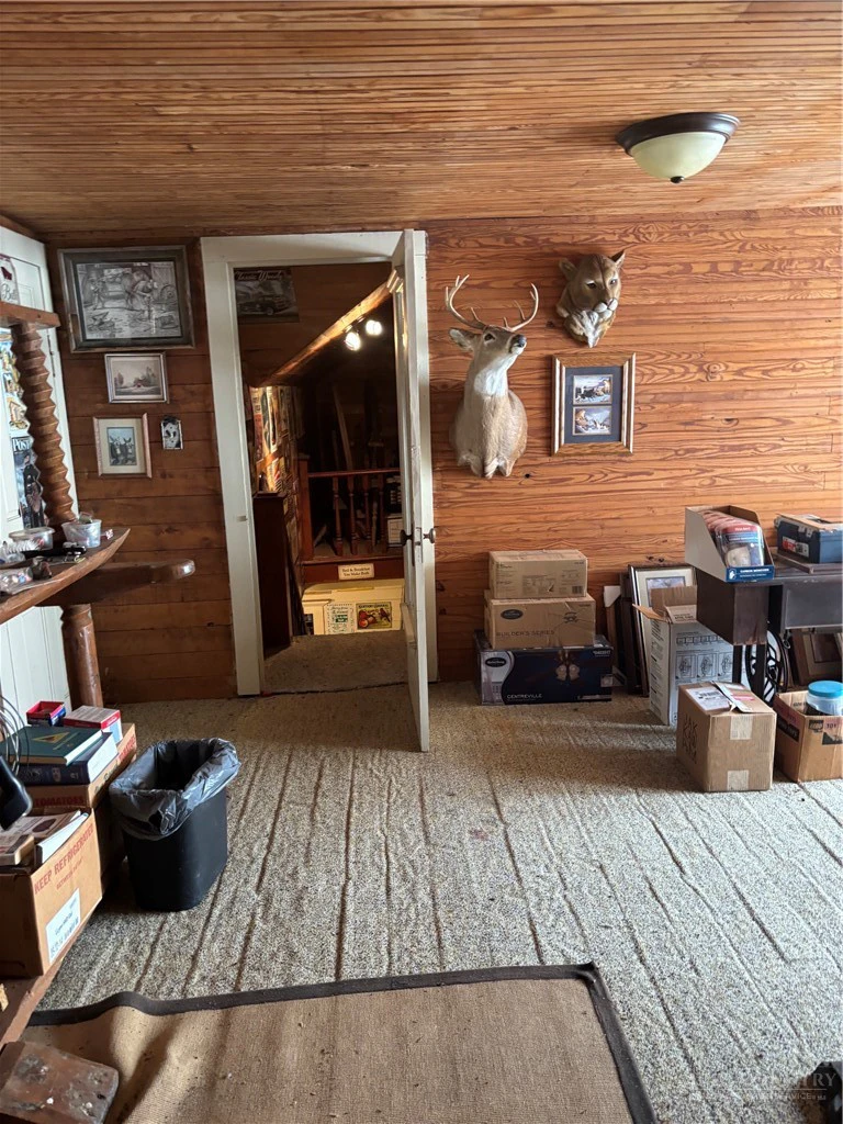 Image number 8 for the current listing