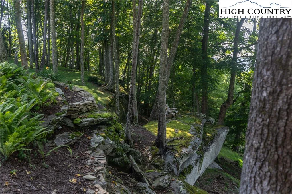 Image number 18 for the current listing