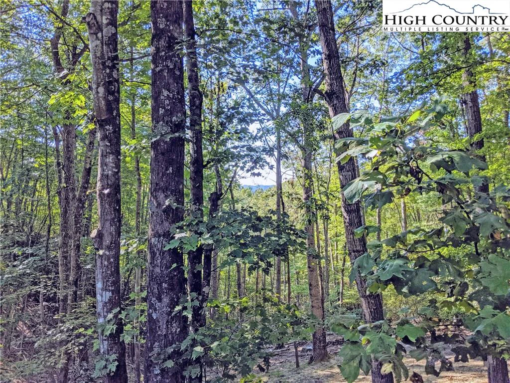 Image number 14 for the current listing