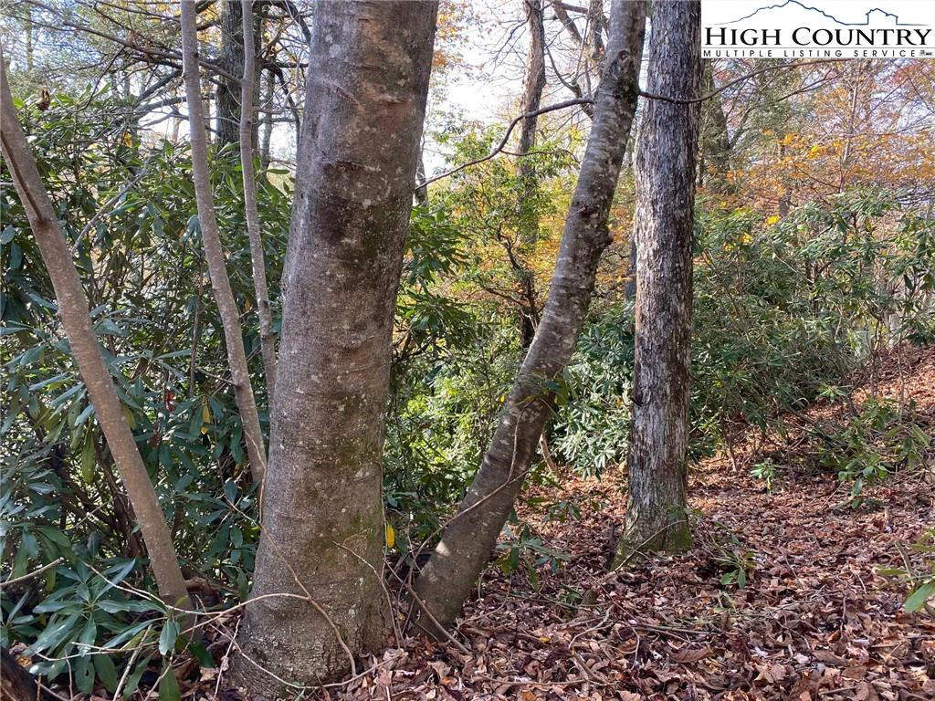 Image number 7 for the current listing