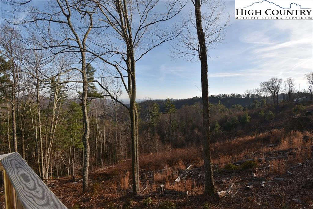 Image number 14 for the current listing