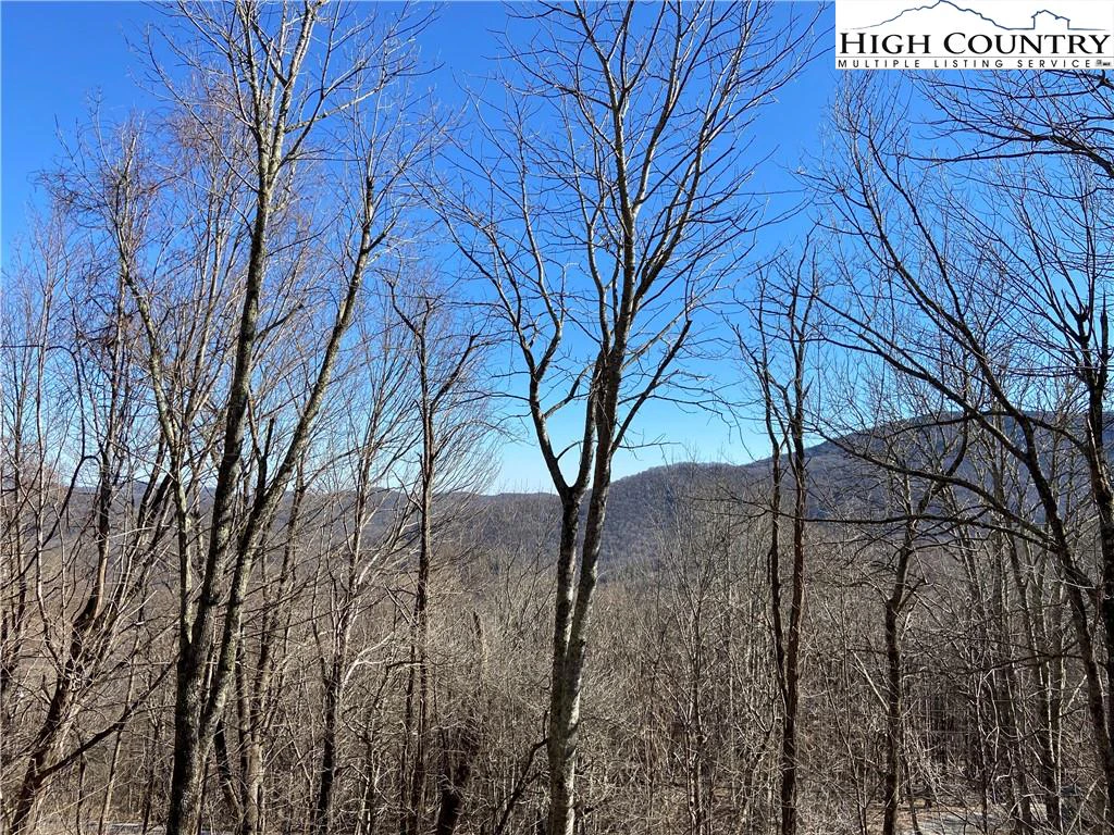 Image number 4 for the current listing