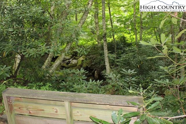 Image number 5 for the current listing