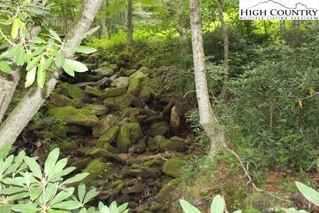 Image number 4 for the current listing