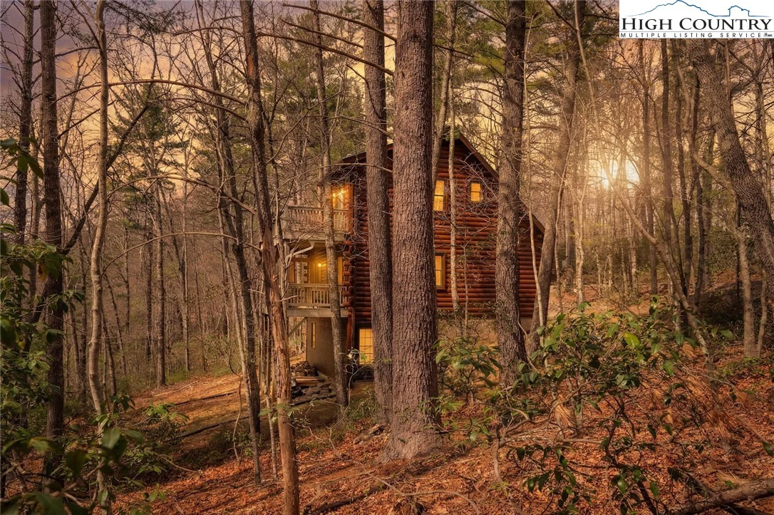 Image number 1 for the current listing