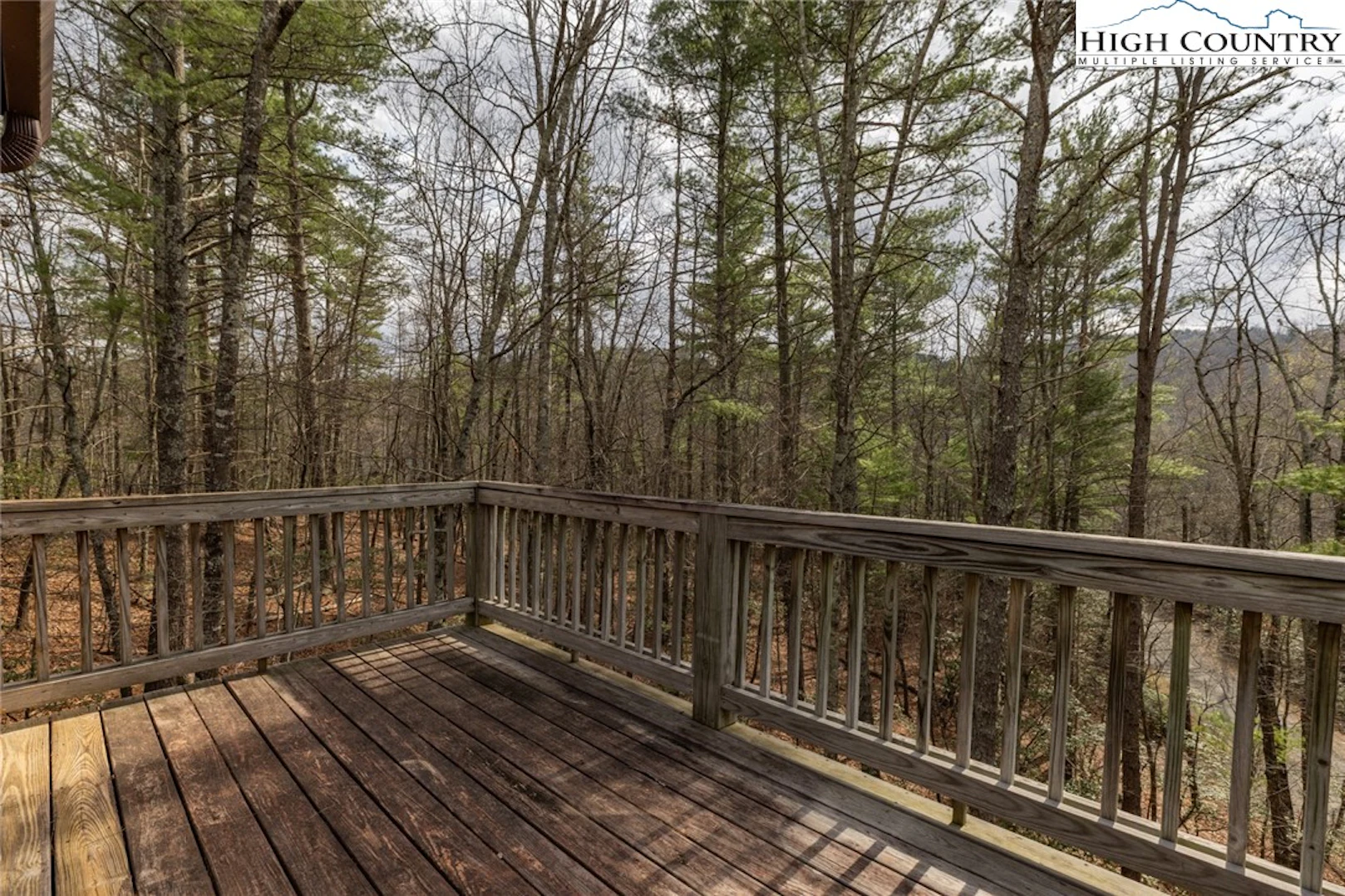 Image number 14 for the current listing
