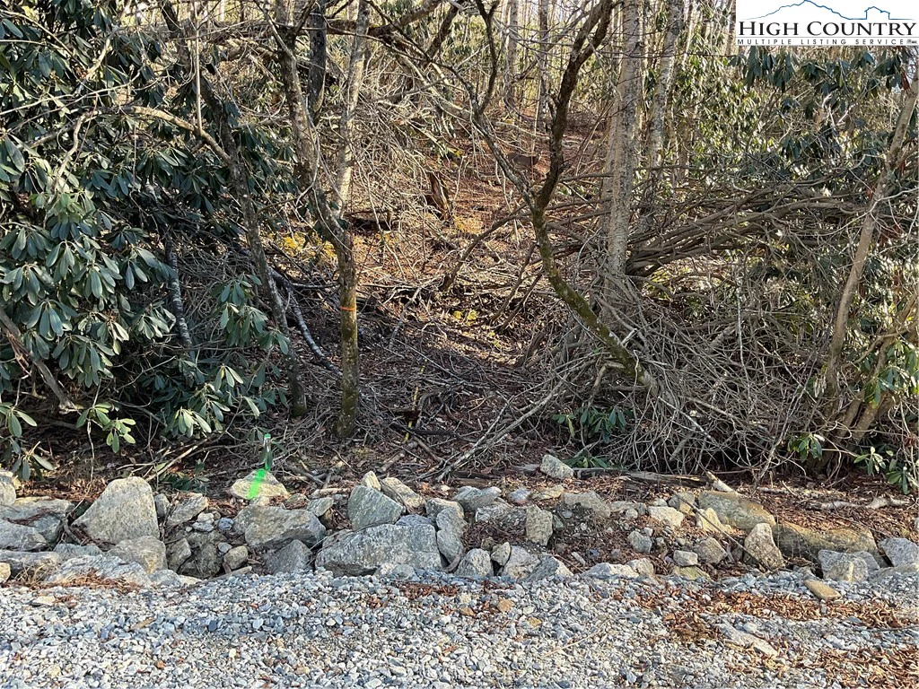 Image number 6 for the current listing