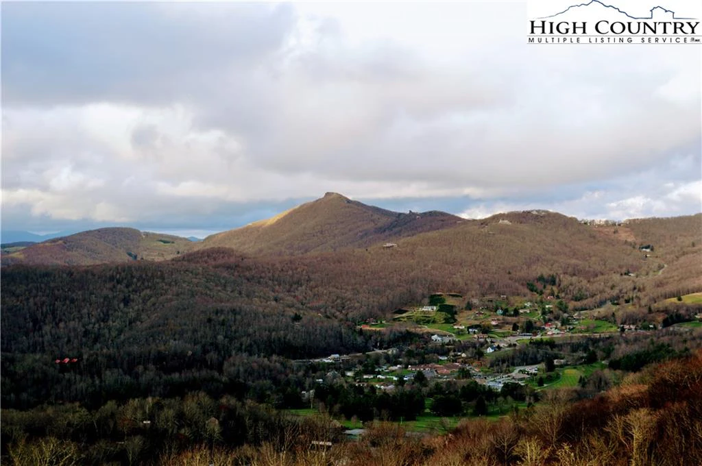 Image number 2 for the current listing