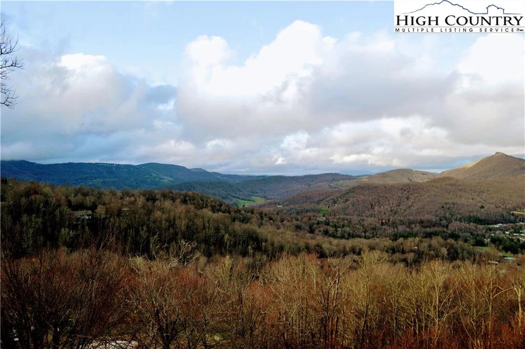 Image number 11 for the current listing