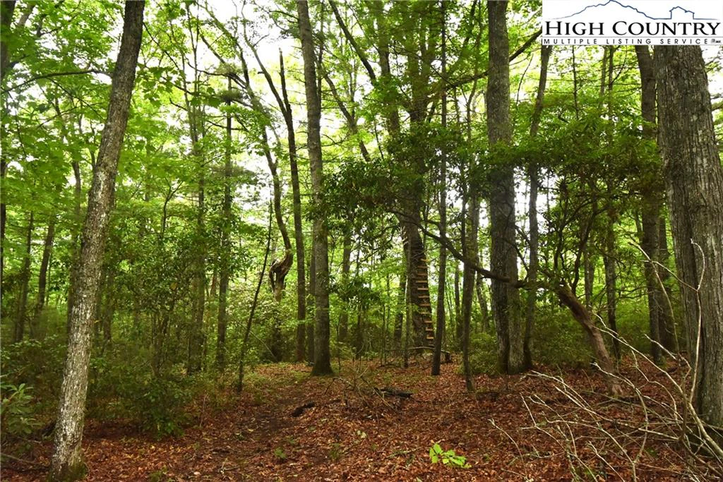 Image number 12 for the current listing