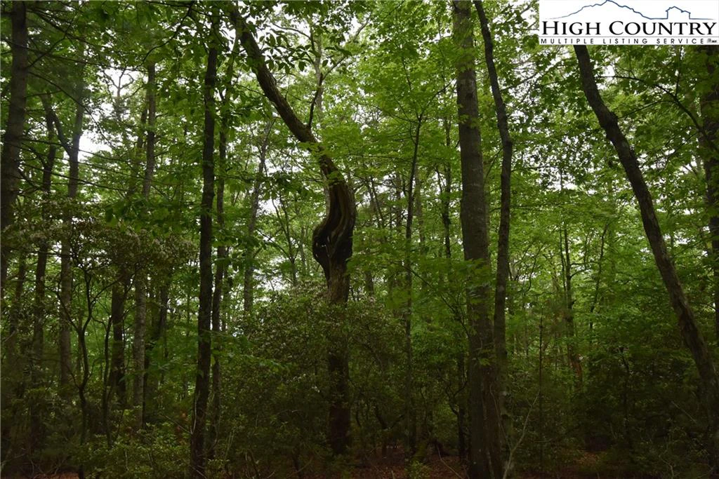Image number 11 for the current listing