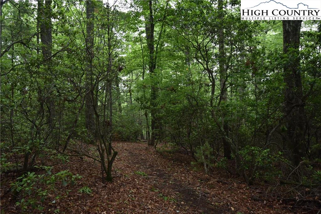 Image number 10 for the current listing