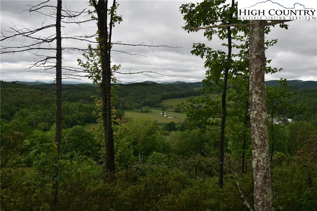 Image number 8 for the current listing