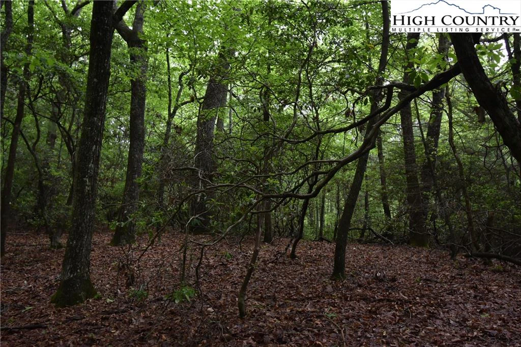 Image number 7 for the current listing