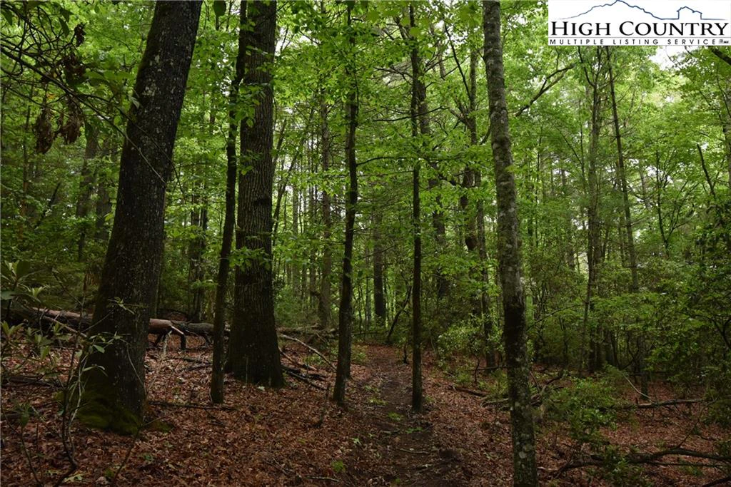 Image number 6 for the current listing