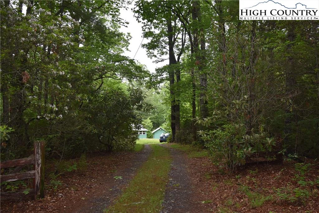 Image number 3 for the current listing