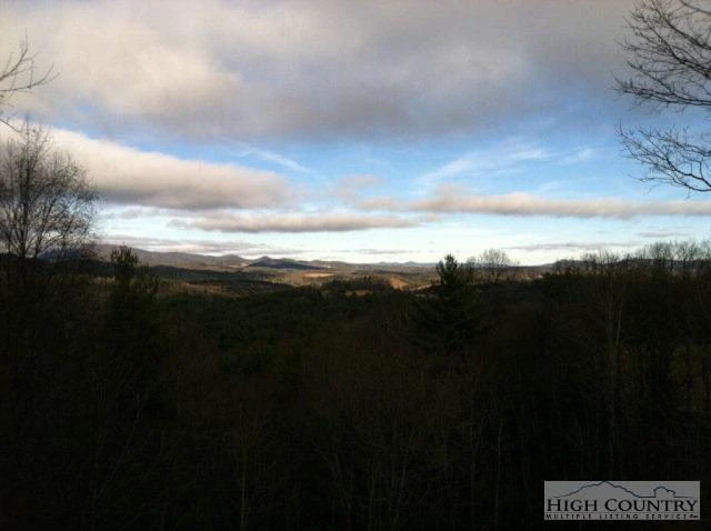 Image number 11 for the current listing