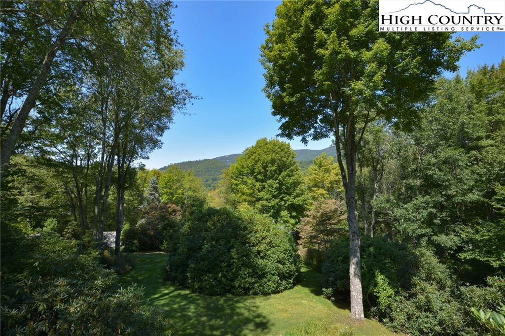 Image number 12 for the current listing