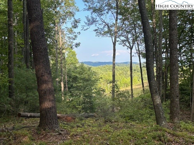 Image number 7 for the current listing