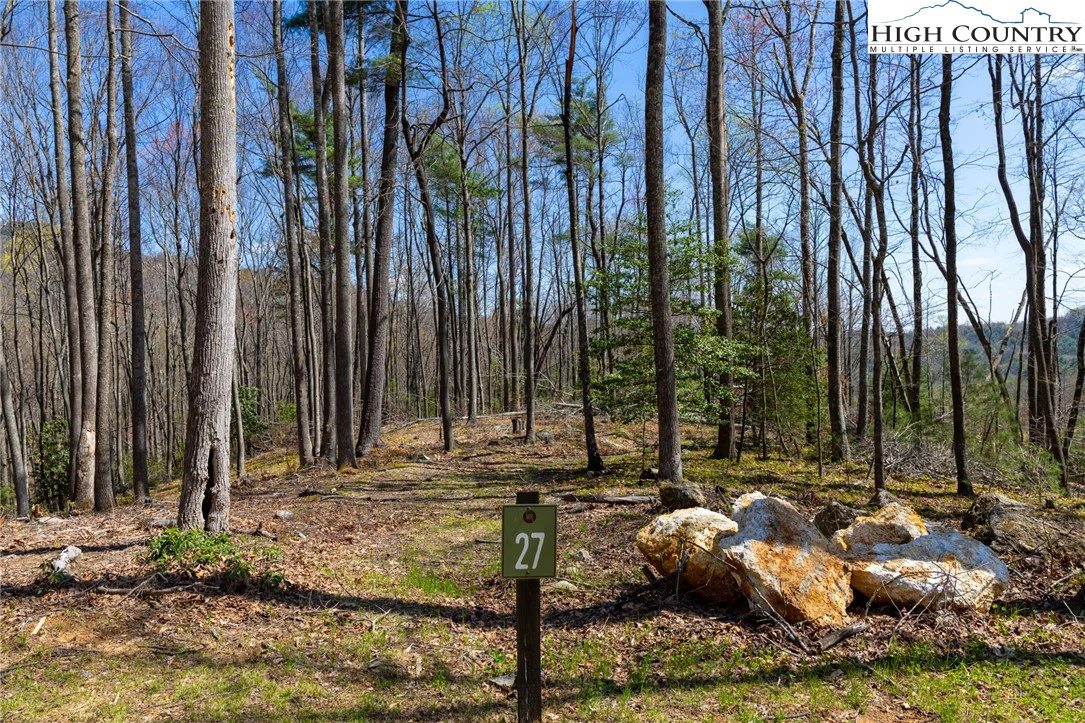 Image number 1 for the current listing