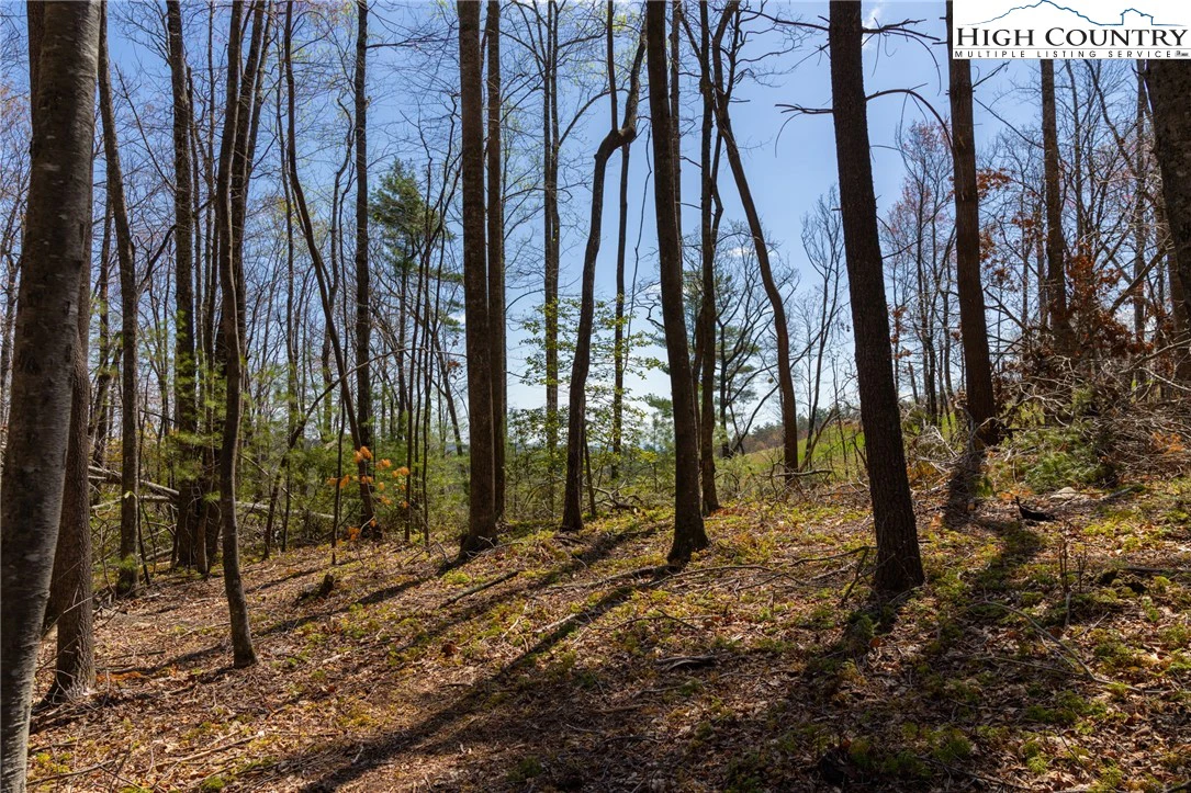 Image number 5 for the current listing