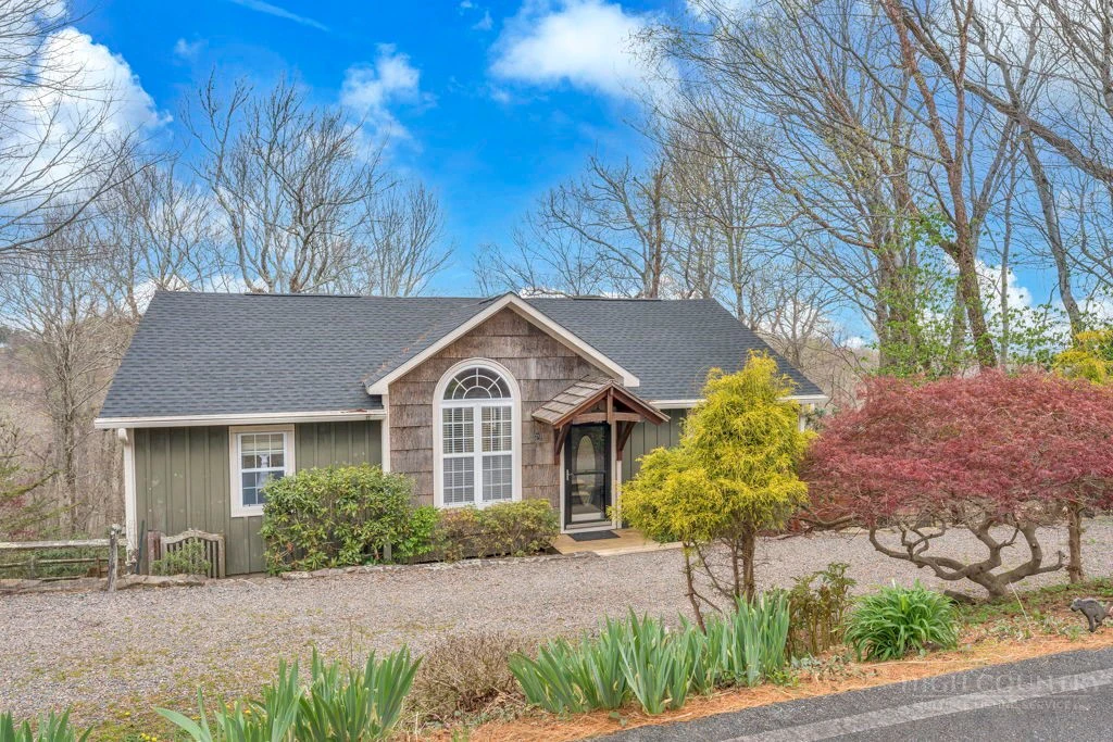Image number 1 for the current listing