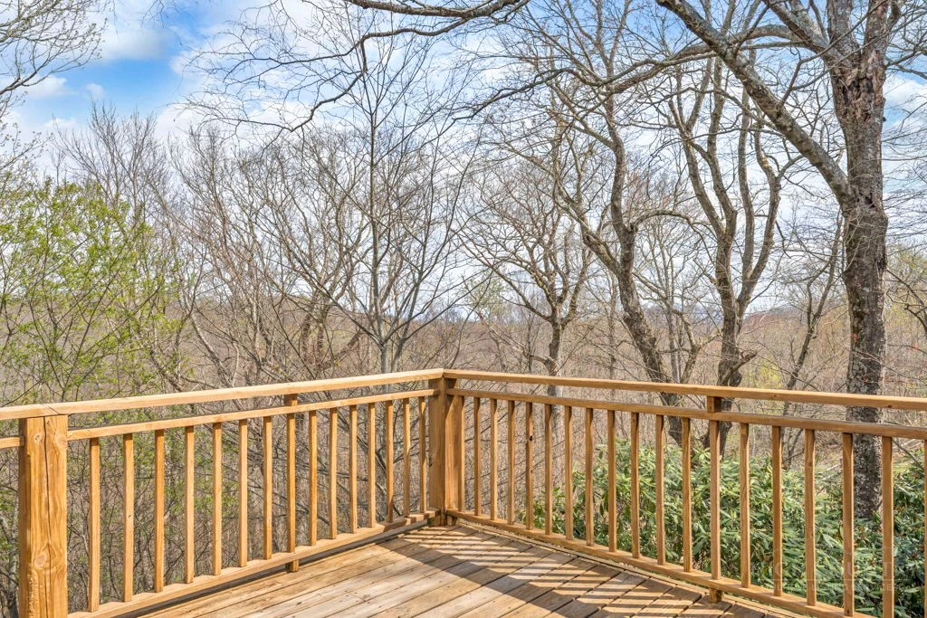 Image number 12 for the current listing