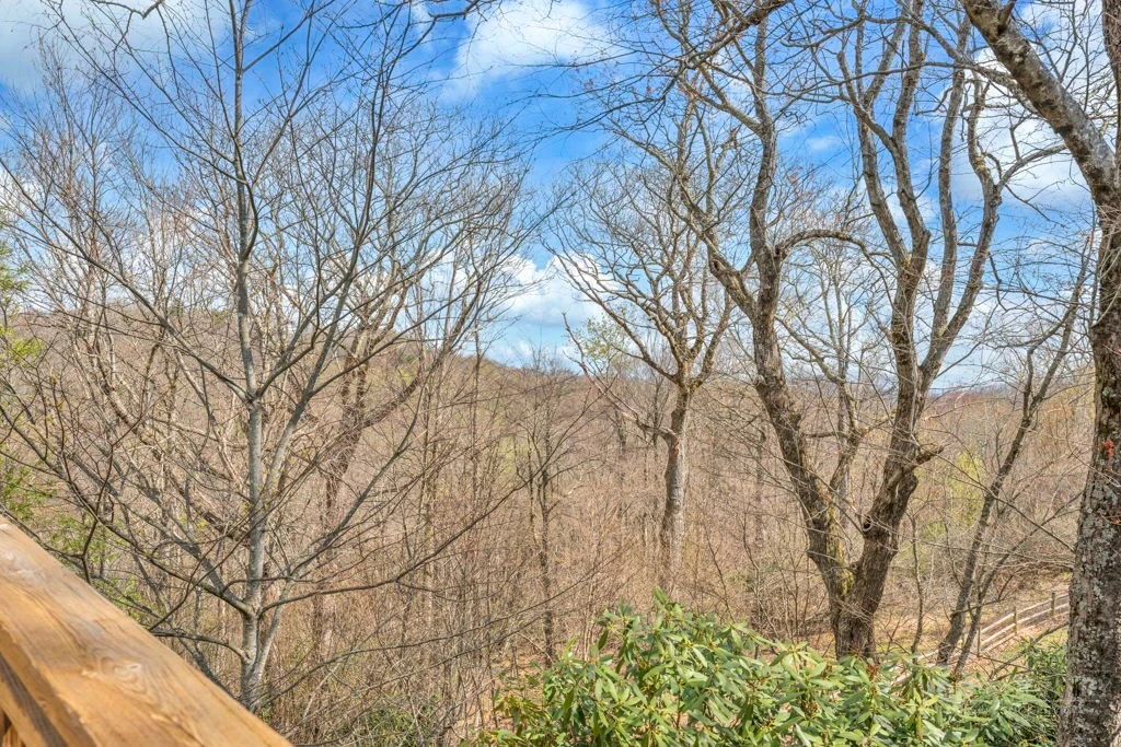 Image number 14 for the current listing