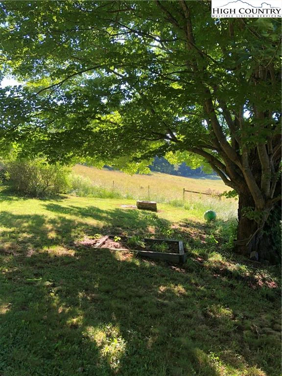 Image number 11 for the current listing