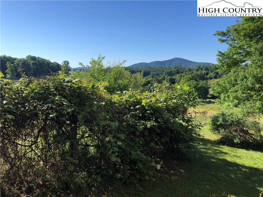 Image number 4 for the current listing