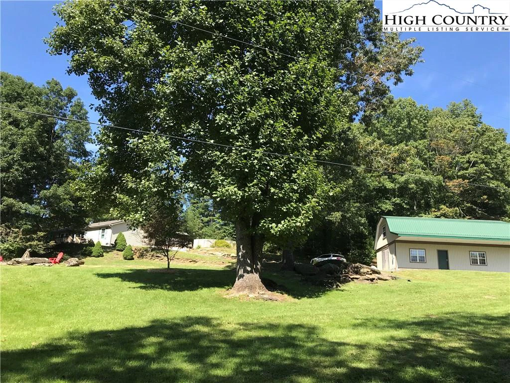 Image number 1 for the current listing