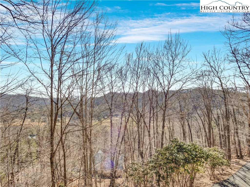 Image number 16 for the current listing