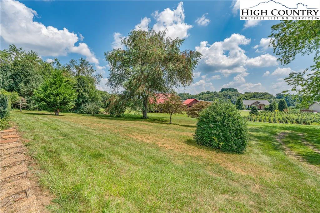 Image number 17 for the current listing